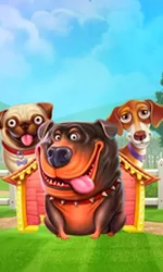 The Dog House