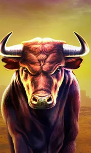 Black Bull