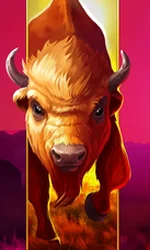 Big Wild Buffalo
