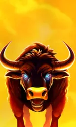 Big Wild Buffalo 2